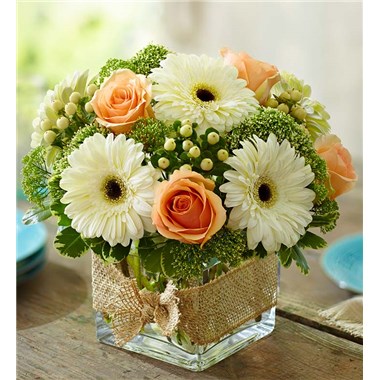 Modern Rose And Gerbera Daisy Bouquet